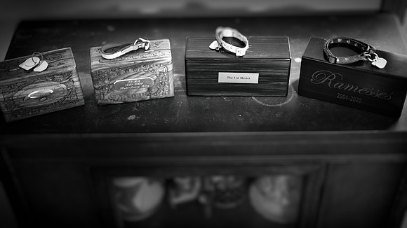 blog-2020-002-n-l-as