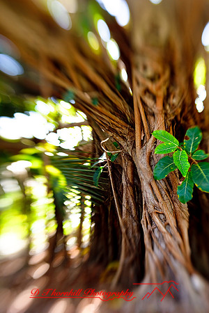 florida-2009-nature_28.jpg