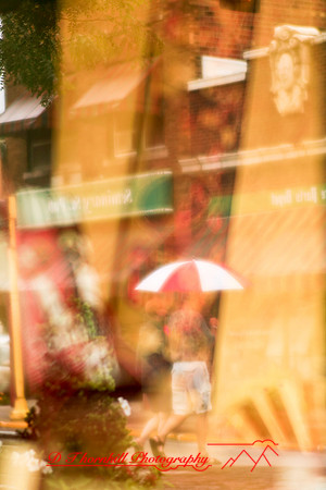 assorted_images-2007-44