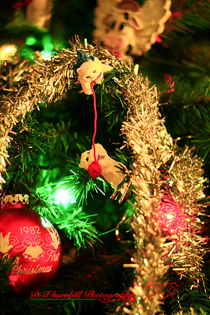 assorted-images-2006_71