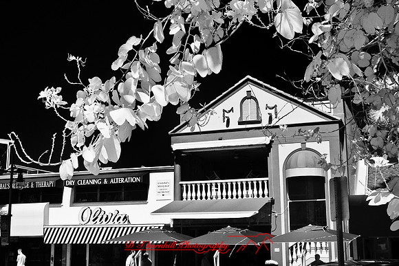 florida-2008-images-infrared_25-nik.jpg