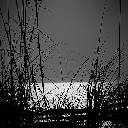 FL-March 2018-202_DxO