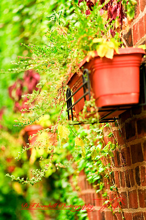 assorted_images-2007-46