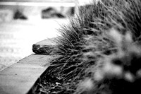 assorted-images-2006_027