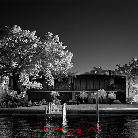 FL-March 2018-052_DxO