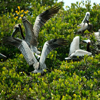 florida-2013-images-094