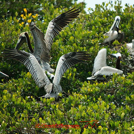 florida-2013-images-094