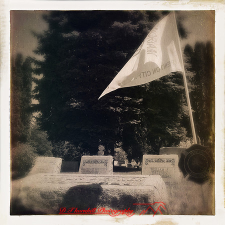 iPhones-2014-078
