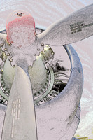 assorted-images-2006_017