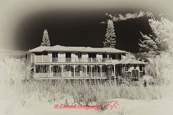 florida-2010-infrared-images_09-nik