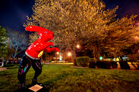 assorded_images-2012_8-01_HDR
