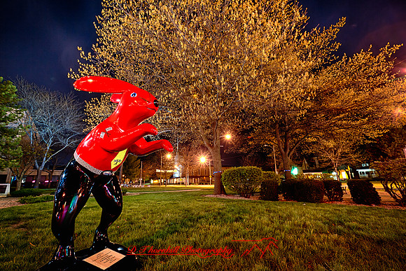 assorded_images-2012_8-01_HDR