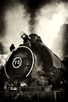 owosso_train-fest-2009_09-nik.jpg
