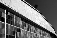 assorted-images-2006_006