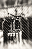assorted_images-2009_044-nik.jpg
