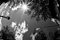 assorted-images-2010_081