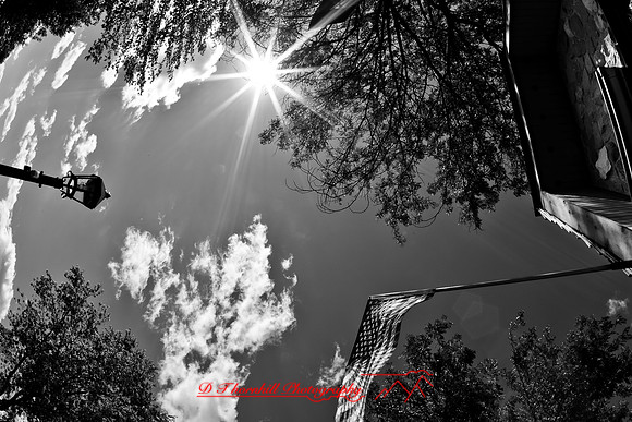 assorted-images-2010_081