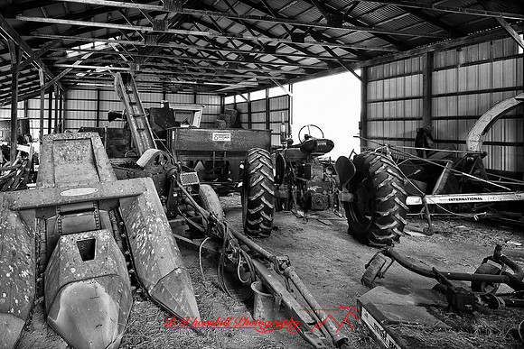 assorted_images-2011-38-nas