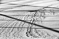 assorted_images-2012-050-nas