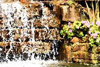 assorted-images-2006_022