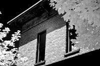 infrared-2008_021