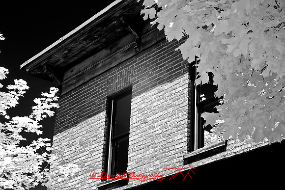 infrared-2008_021
