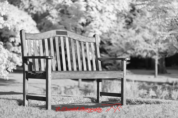 dow-gardens-infrared-2011-30