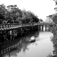shadow-light-project-florida_2013-24