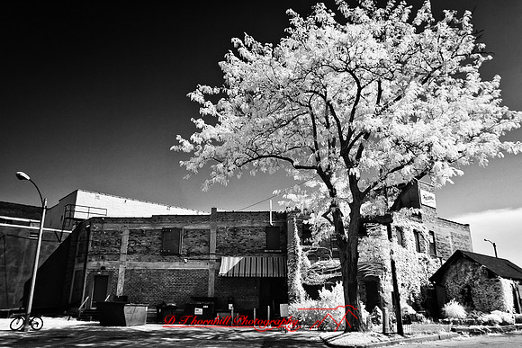infrared-galesburg_il-2011-21-nas
