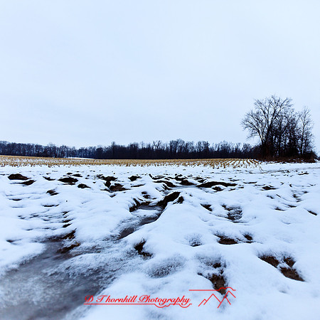assorted_images-2012-154