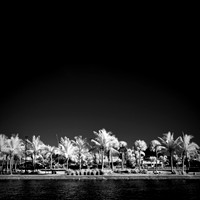 FL-March 2018-027_DxO