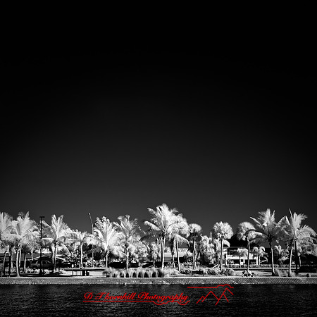FL-March 2018-027_DxO