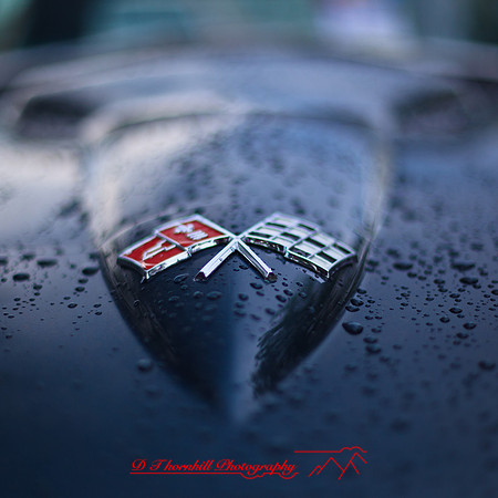 frankenmuth-car-show-2013-24