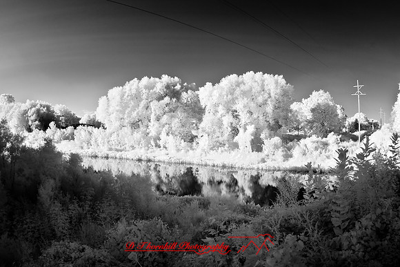 infrared-2008_104