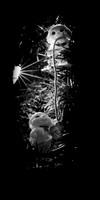 christmas - 2021 - 007
