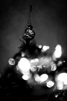 christmas - 2021 - 010