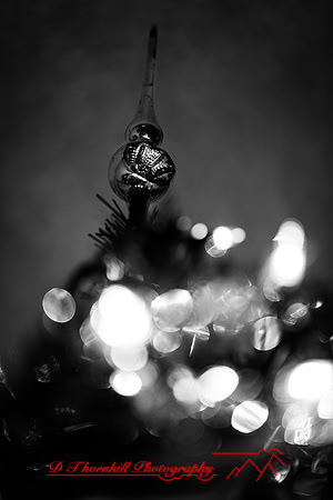 christmas - 2021 - 010