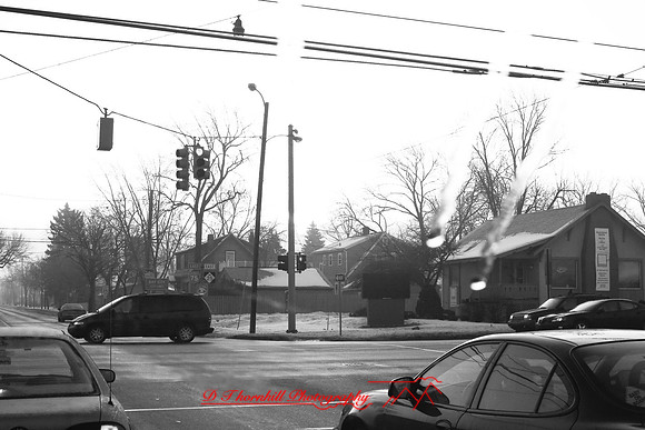 driving_008