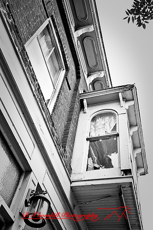 assorted_images-2008_05.jpg