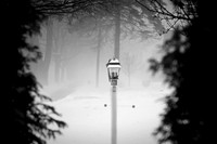 assorted_images-2008_53.jpg