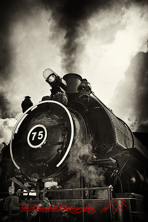 owosso_train-fest-2009_09-nik.jpg