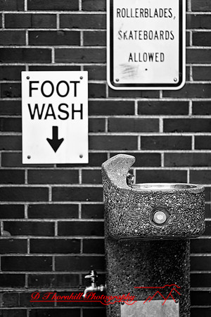 assorted_images-2012-097-nas