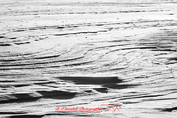 assorted_images-2012-048