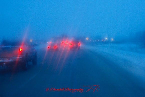 the-drive-2009_11.jpg
