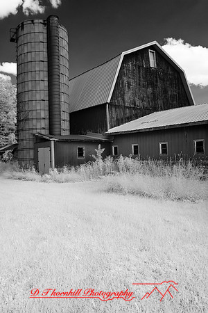 infrared_images-2012-014