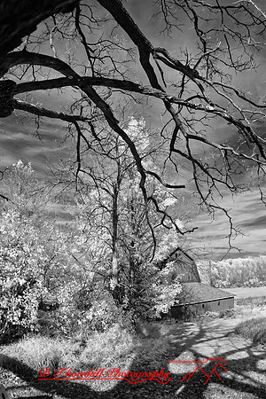 infrared_images-2012-021