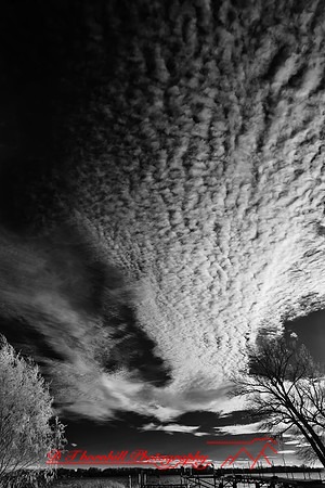 crystal_lake-infrared-2010_18-nik