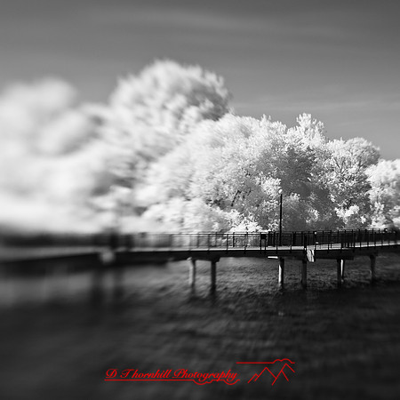 bay_city_infrared-images_2012-032
