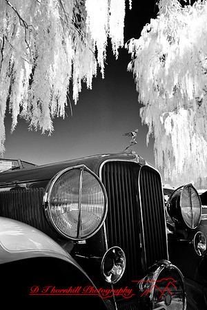 muth-car-show-infrared-2008_30