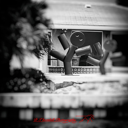 florida-march-2016-080-nas